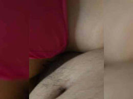 Parasex-1 past broadcast snapshot