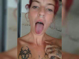 WildVixen past broadcast snapshot