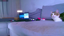 great_blondy past broadcast snapshot