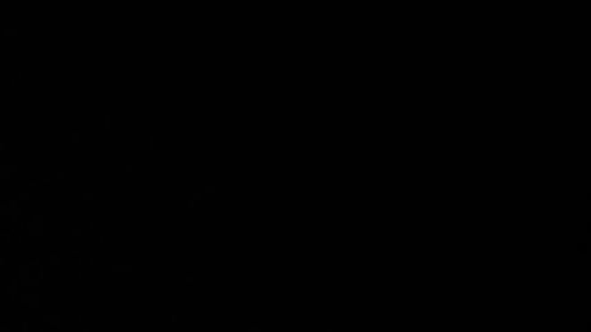 policees live webcam preview