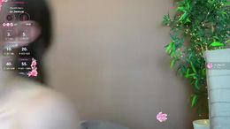 superbjade past broadcast snapshot
