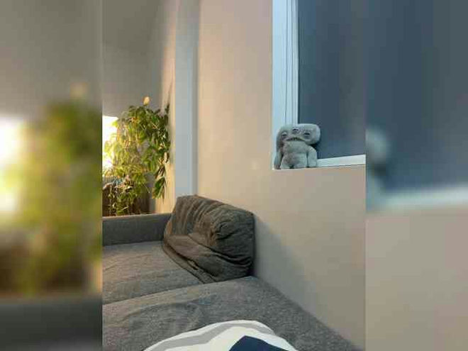 LittleDelora live webcam preview
