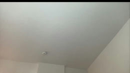 laylahlaylah1 past broadcast snapshot