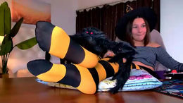 kimclarks past broadcast snapshot
