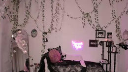 sugarmiette past broadcast snapshot