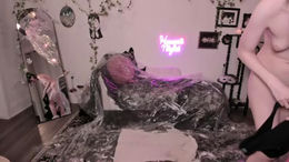 sugarmiette past broadcast snapshot