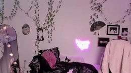 sugarmiette past broadcast snapshot