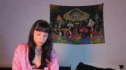 metallkitty past broadcast snapshot