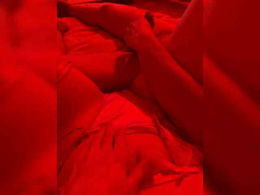 Pollli past broadcast snapshot