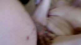 shelzic past broadcast snapshot