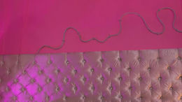 lilou_albrecht past broadcast snapshot