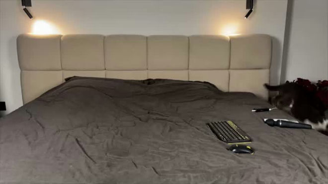 niravana_ live webcam preview