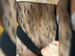 bossendsekretar past broadcast snapshot