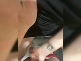 Seksksksks1 past broadcast snapshot