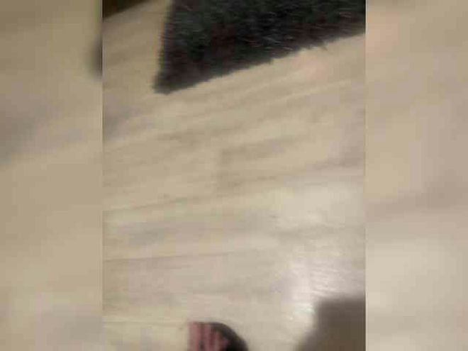Seksksksks1 live webcam preview