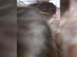 E-v-g-e-n past broadcast snapshot