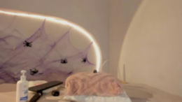katiepeach_ past broadcast snapshot
