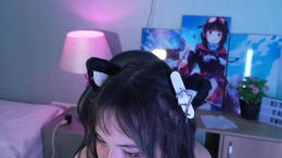 kitticam past broadcast snapshot