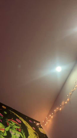 fairyangxl past broadcast snapshot