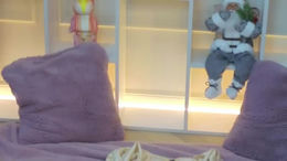 darcy__mayy past broadcast snapshot