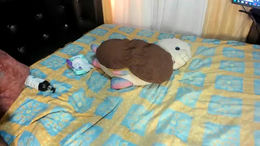 6_bunny_9 past broadcast snapshot