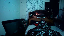 xpeachesnscreamx past broadcast snapshot
