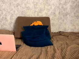 AmeliaMichelini past broadcast snapshot