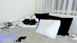 white_do11 past broadcast snapshot