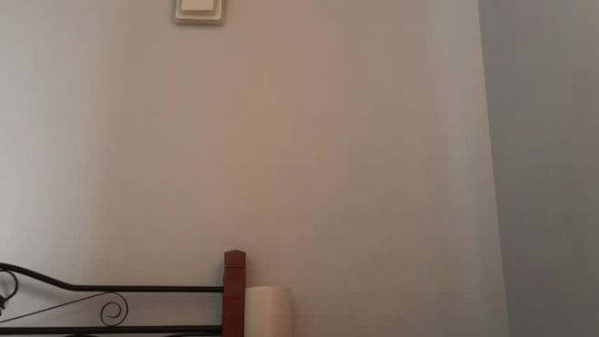amber_gaze live webcam preview