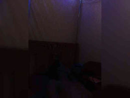 Paula2a past broadcast snapshot
