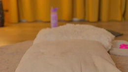 sonia_secrets past broadcast snapshot