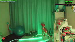 frogessjay past broadcast snapshot