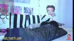 sofianix past broadcast snapshot