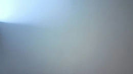 celestepurves past broadcast snapshot