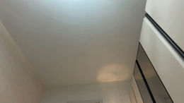 aveloria_ past broadcast snapshot
