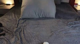 alexalenee past broadcast snapshot