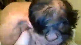 stonksonlygoup past broadcast snapshot