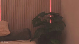 lili_foxy past broadcast snapshot