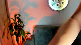 abellaconnor past broadcast snapshot