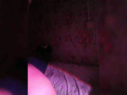 Bosssvk past broadcast snapshot