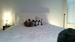 blondemmax past broadcast snapshot