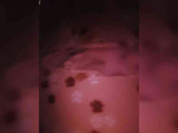 Soniya143 past broadcast snapshot