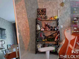 LolyMolly past broadcast snapshot
