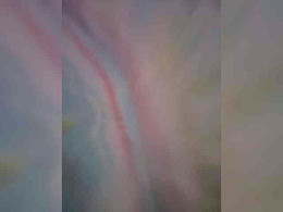 Trisha77 past broadcast snapshot