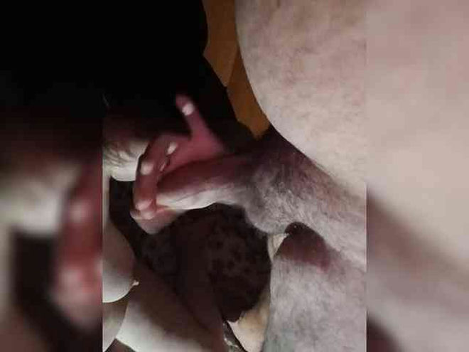 Kissandhade1 live webcam preview