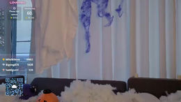 dianelawrence past broadcast snapshot