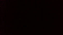 useitorlossit past broadcast snapshot