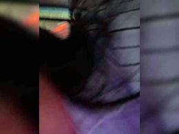 pupaa past broadcast snapshot