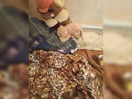 Mary32 past broadcast snapshot