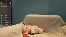 hazelhartshorn past broadcast snapshot